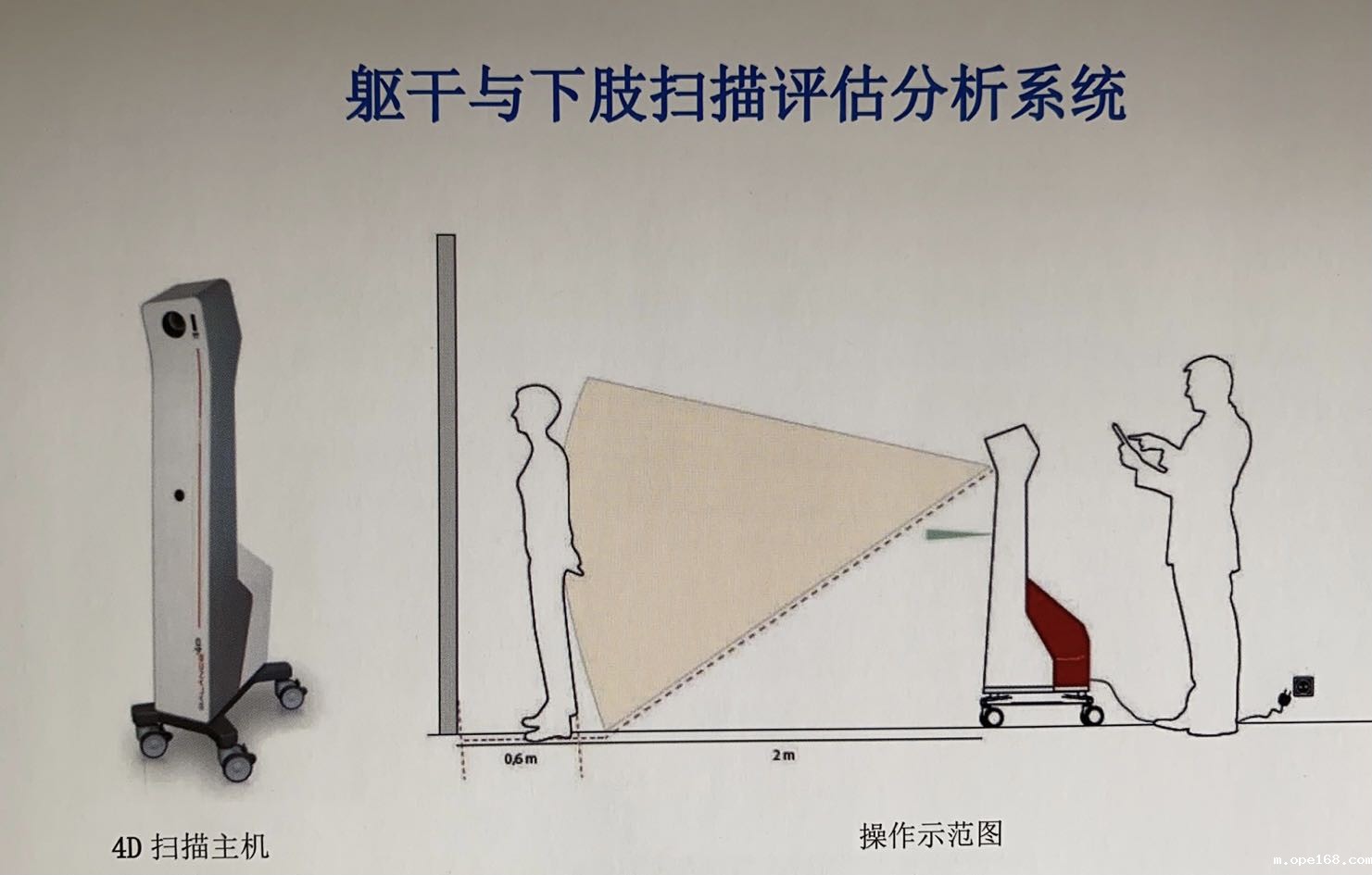 躯干及下肢扫描评估分析系统