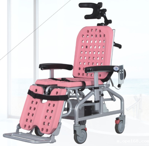 Electric Bath Chair