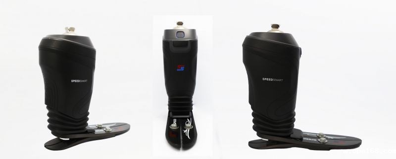 Intelligent Ankle-Foot Prosthesis-