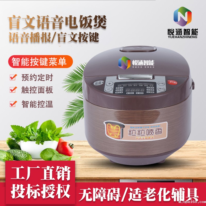 盲文语音电饭煲