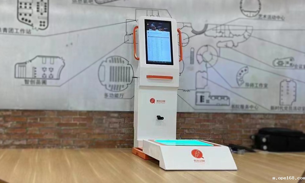 微观足脊足姿评估系统