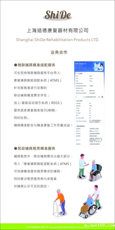 Assistive Technology Device Matching System-