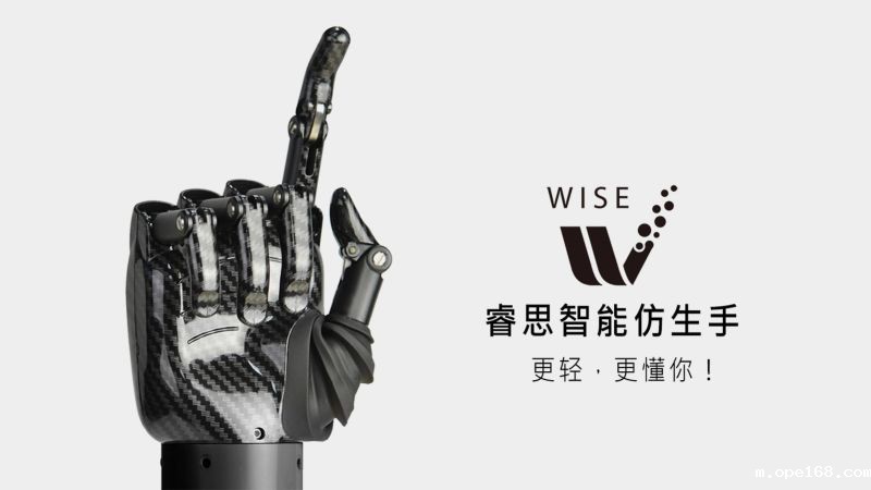 Wise bionic hand-