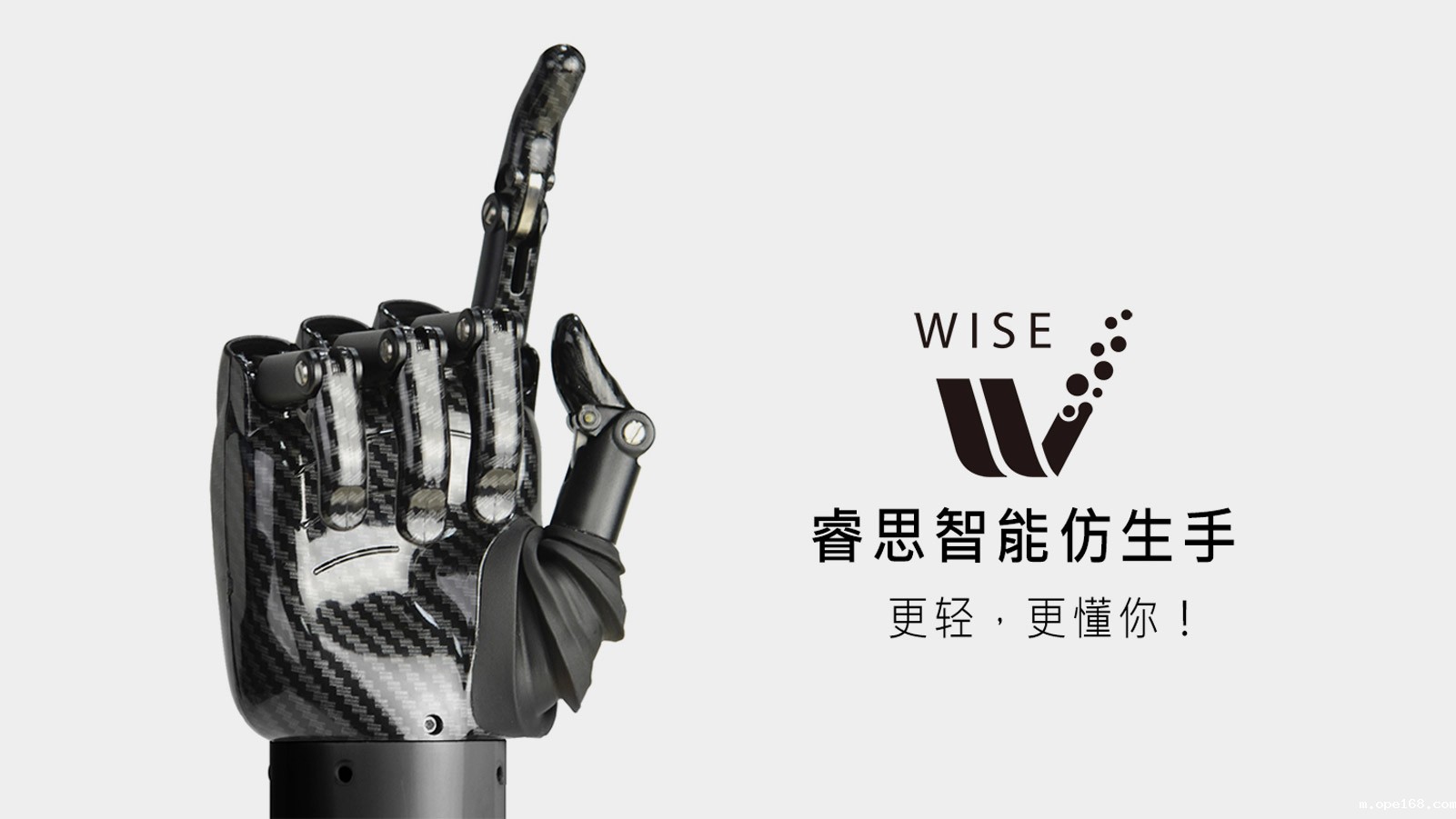 Wise bionic hand