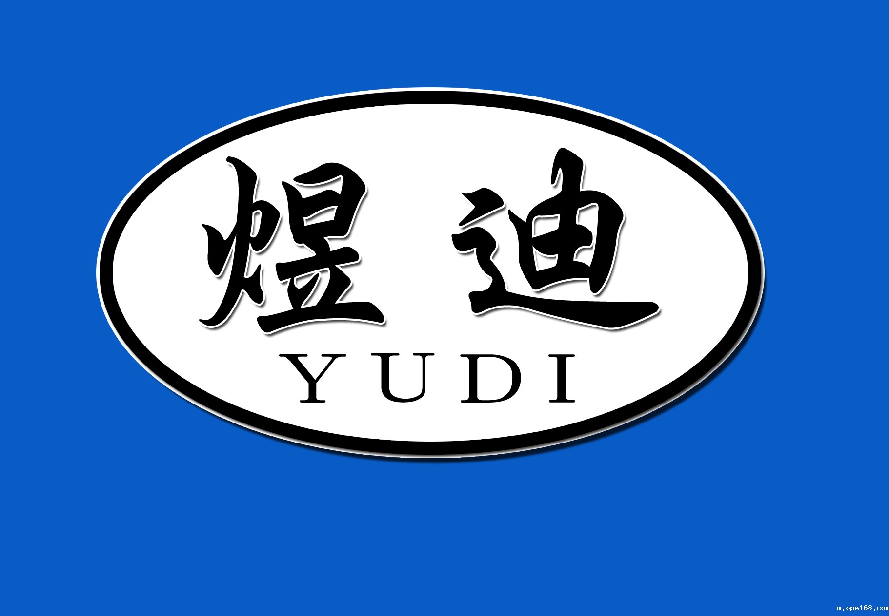 Hengshui Peidi Medical Instrument Co.,LTD