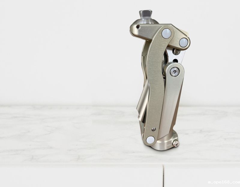 Pneumatic knee joint-