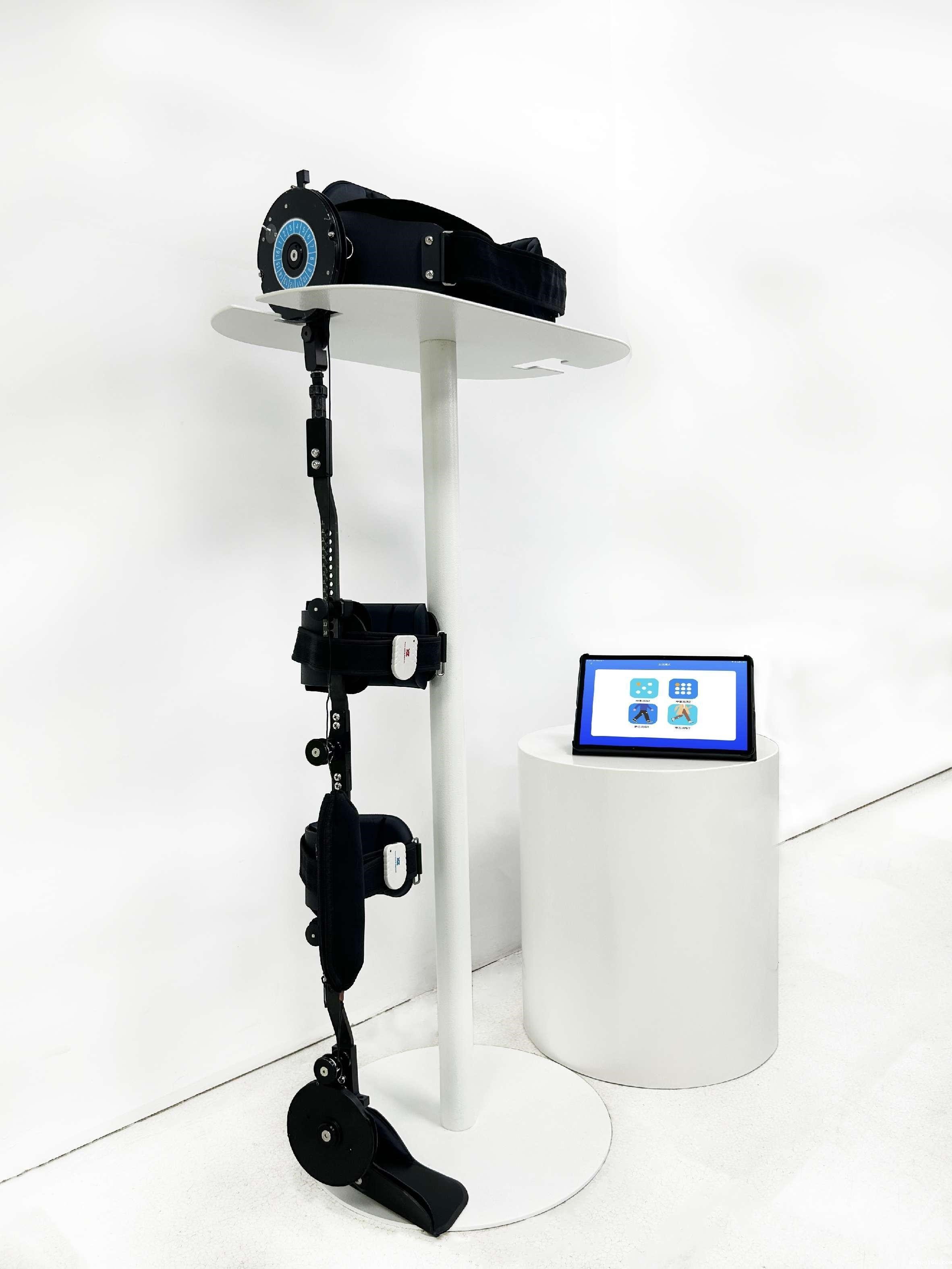 步态评估与训练系统