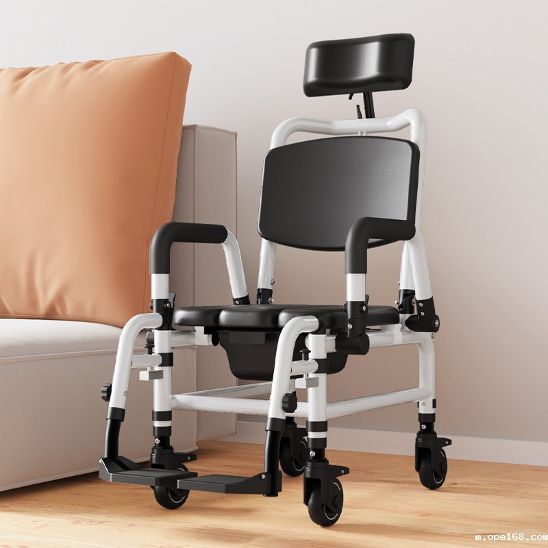 多功能洗护坐便椅