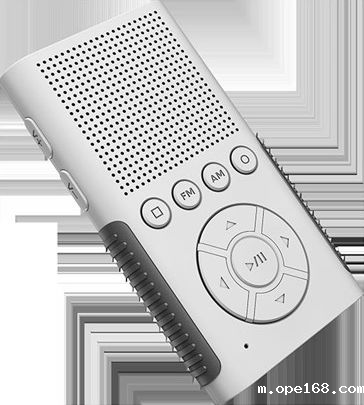 瑞杰珑听力辅具